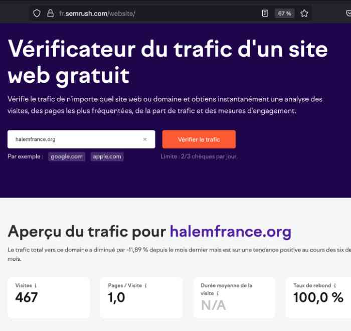 Analyse Semrush de halemfrance.org montrant un taux de rebond de 100 pour cent, indiquant qu’aucun visiteur ne consulte une deuxième page