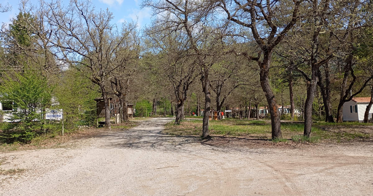 Cadre verdoyant du camping La Ruche, mobil-homes entre les arbres, avril 2026