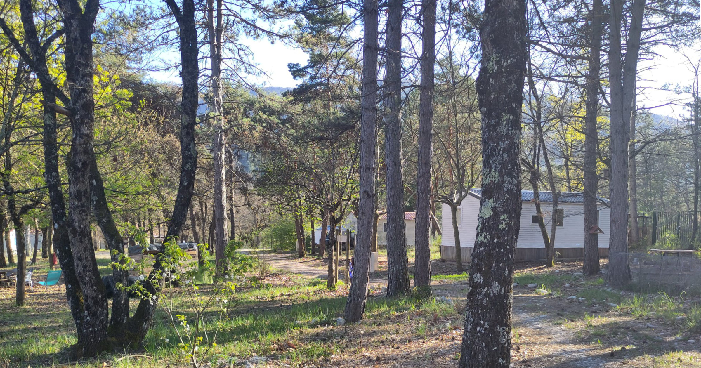 Vue d'ensemble du camping à travers les arbres, Ponet-et-Saint-Auban, avril 2026