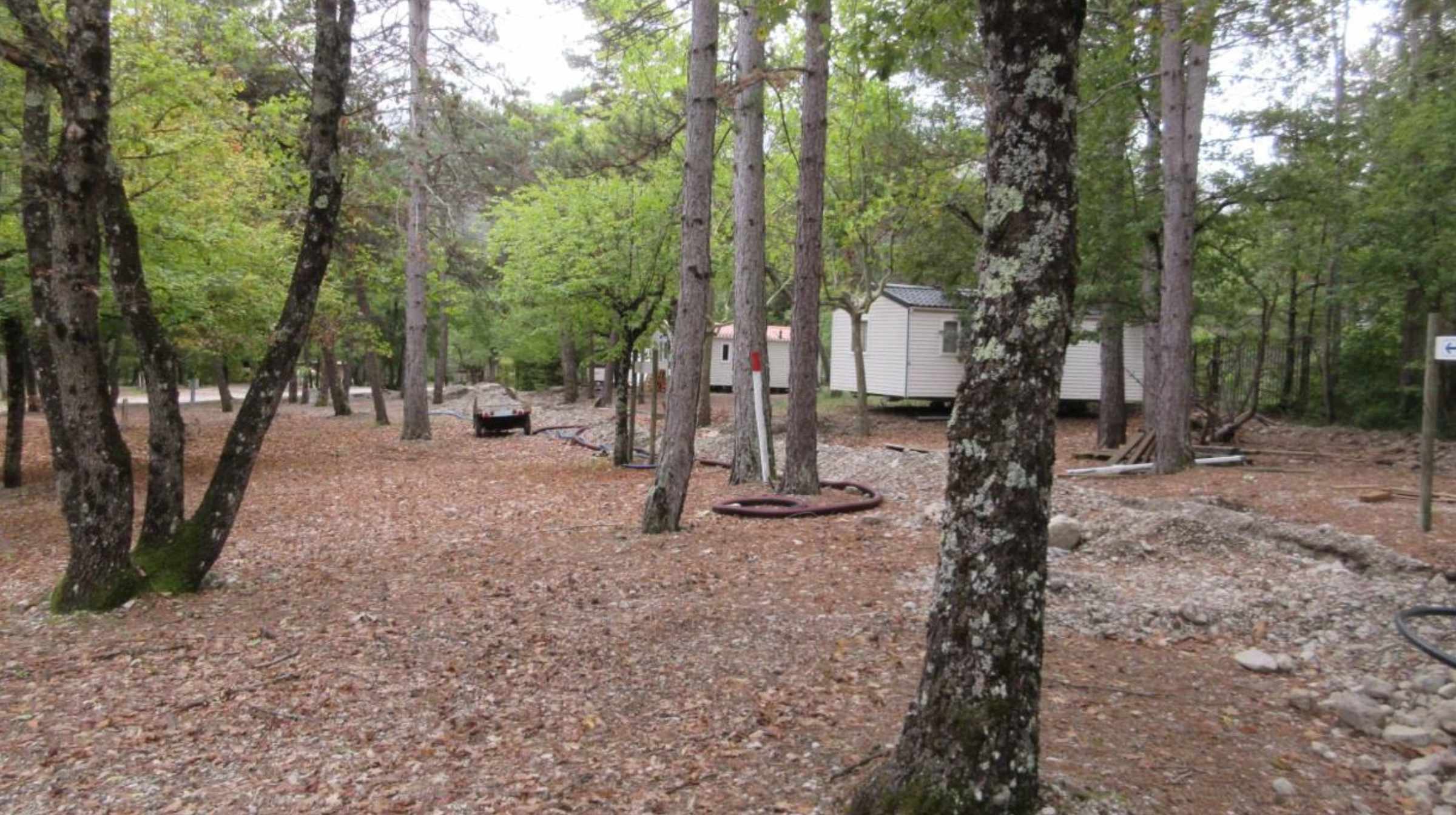 Vue des parcelles boisées du camping La Ruche avec mobil-homes entre les arbres